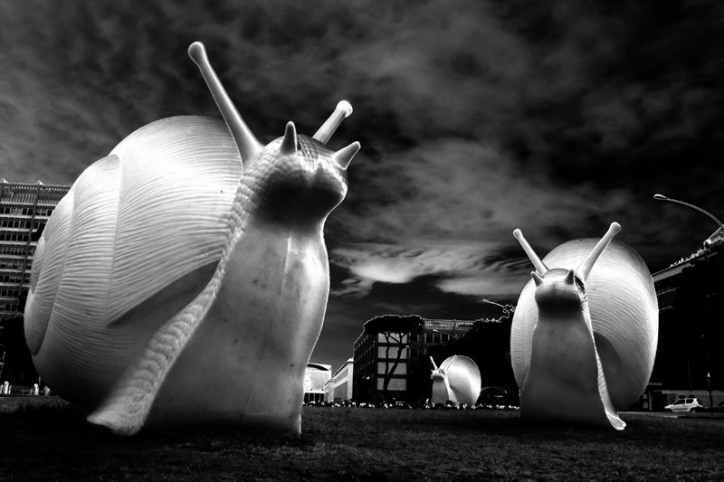 quelle-grosseIMG_0135f.jpg